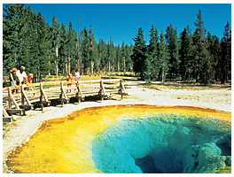 Yellowstone paint pots
